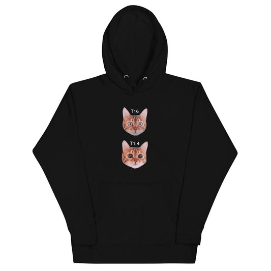 Production Apparel Hoodies Cat Stops Black / S