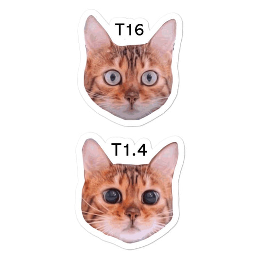 Production Apparel Stickers Cat Stops 5.5x5.5