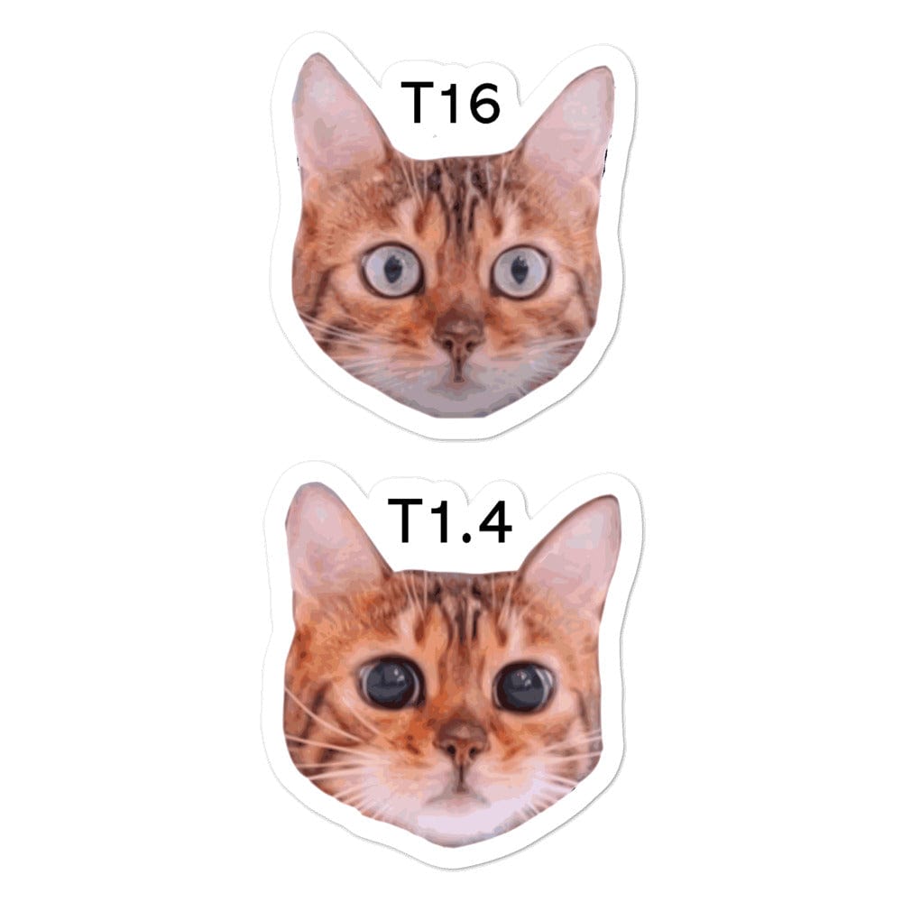 Production Apparel Stickers Cat Stops 5.5x5.5