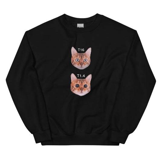 Production Apparel Sweaters Cat Stops Black / S