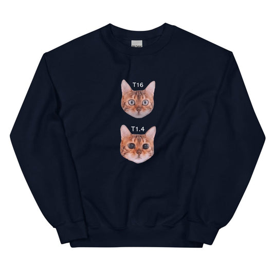 Production Apparel Sweaters Cat Stops Navy / S